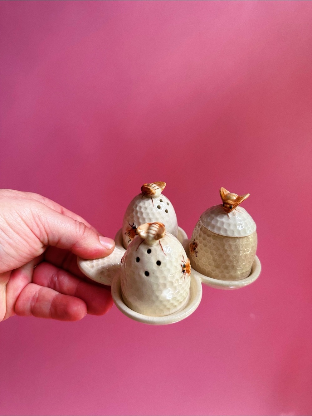 Vintage Ceramic Bee Salt and Pepper Shaker / Sugar Pot Set - Beige